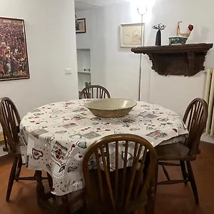 Pasha Apartamento